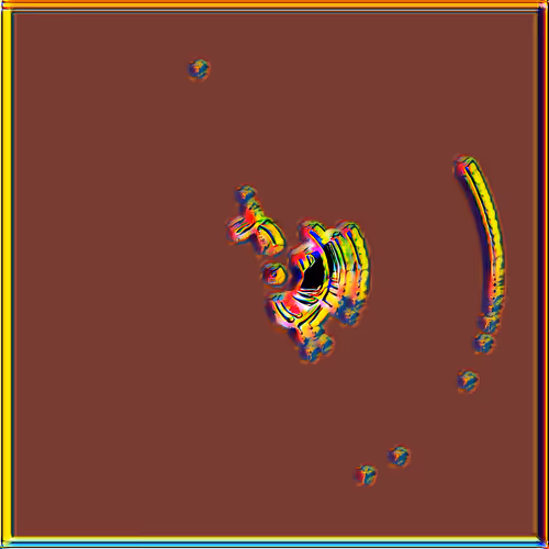 Petri Collection