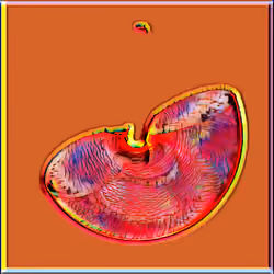 Petri #1064