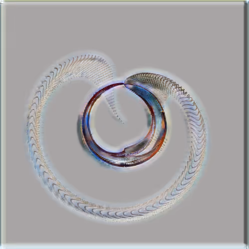 Petri Collection