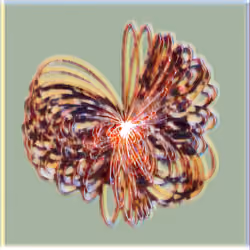 Petri #514
