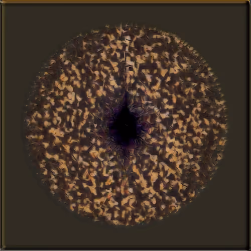 Petri #1536
