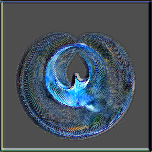 Petri Collection