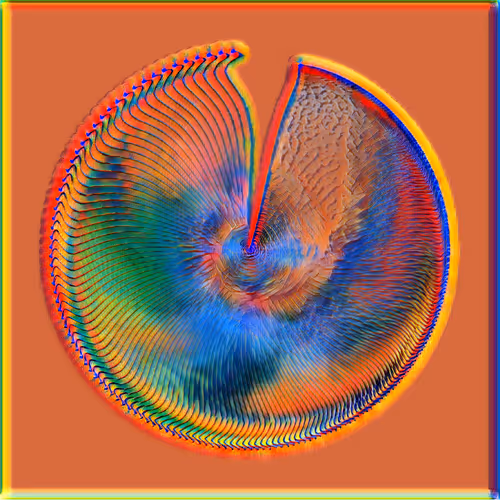 Petri #1165