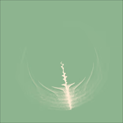 Petri #1561