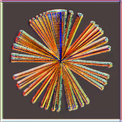 Petri #678