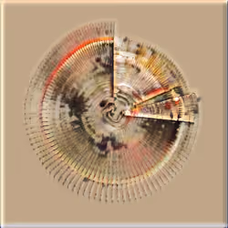 Petri #1237