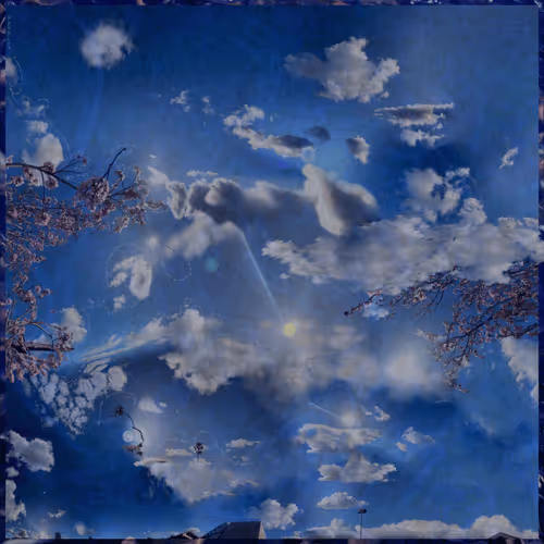 Publicly Private Landscapes