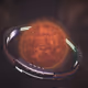 Planet #3592