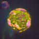 7274