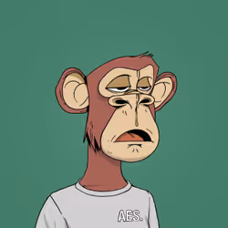 5585