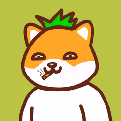 Dope Shiba #4296