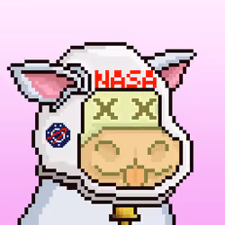 HashCow #189