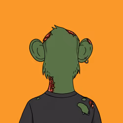 Back Apes #147