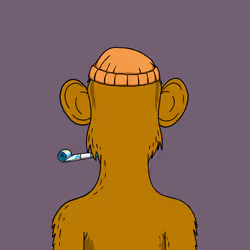 517