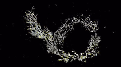 Item #3829863735 Media