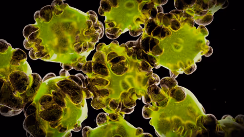 Item #4216204145 Media