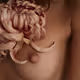 Woman's heart V2