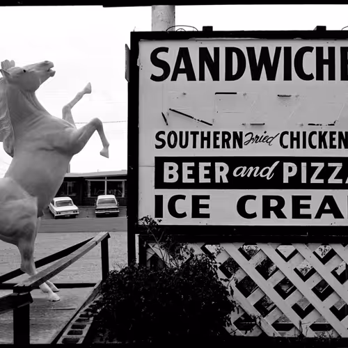 Sequels By Joel Meyerowitz