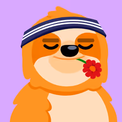 BEANS PET  #2587