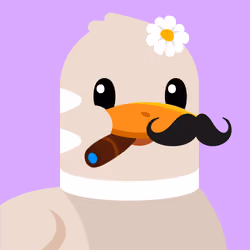 BEANS PET  #2234