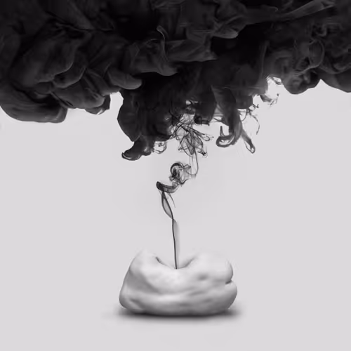 METAMORPHOSIS. BLACK