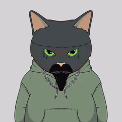 El Gato #777