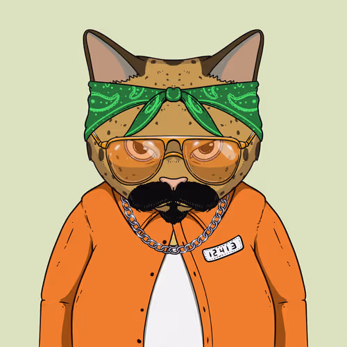 El Gatos Cartel