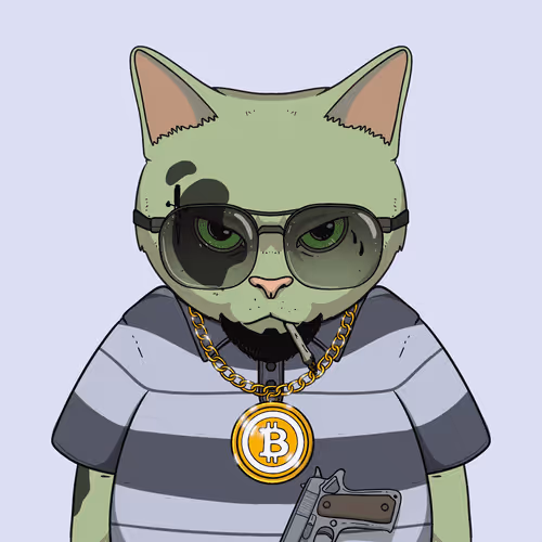 El Gatos Cartel