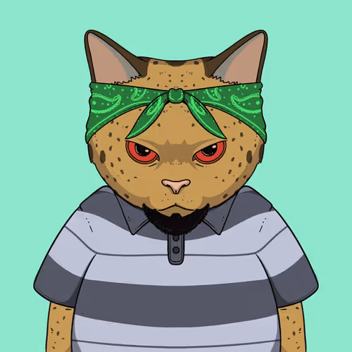 El Gatos Cartel