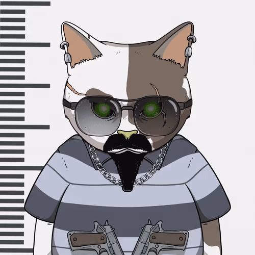 El Gatos Cartel
