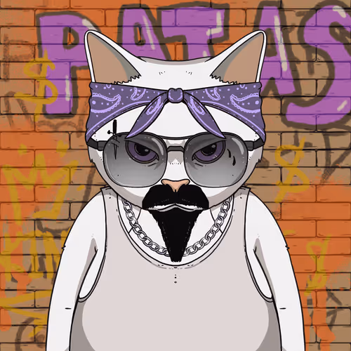 El Gatos Cartel