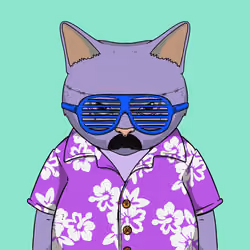 El Gato #779