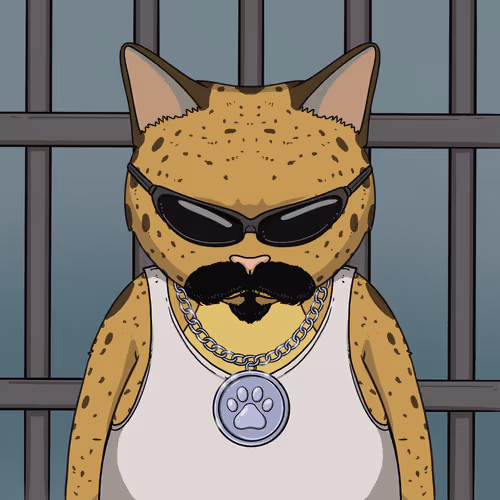 El Gatos Cartel
