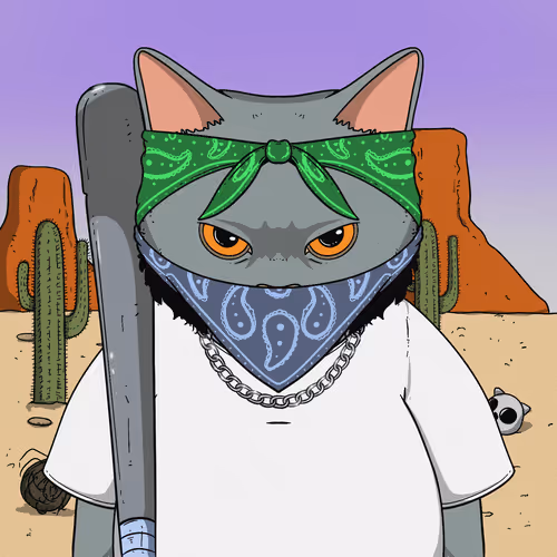 El Gatos Cartel