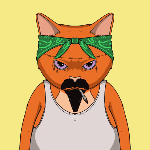 El Gatos Cartel