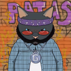 El Gato #1711