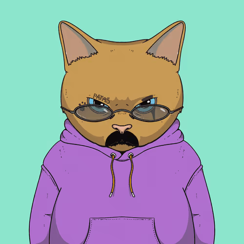 El Gatos Cartel