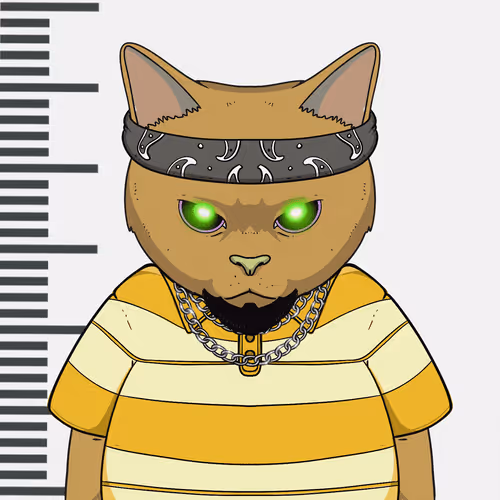 El Gatos Cartel