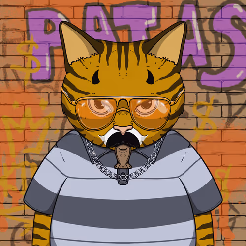 El Gatos Cartel