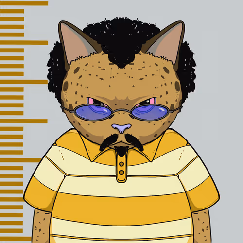 El Gatos Cartel
