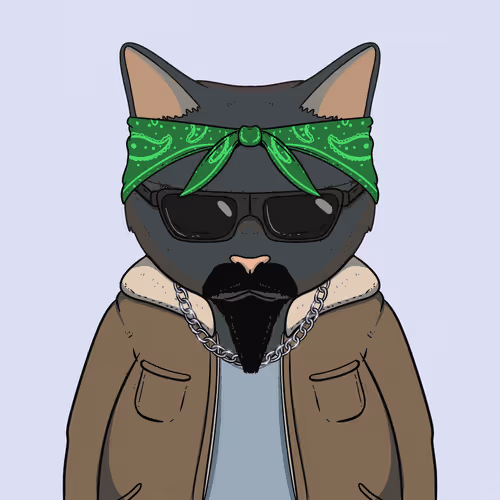 El Gatos Cartel