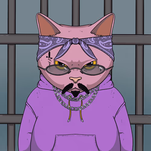 El Gatos Cartel