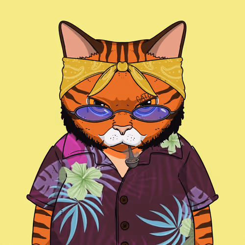 El Gatos Cartel