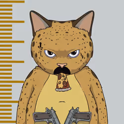 El Gato #87