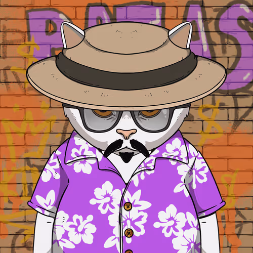 El Gatos Cartel