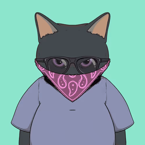 El Gatos Cartel