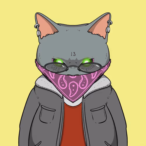 El Gatos Cartel