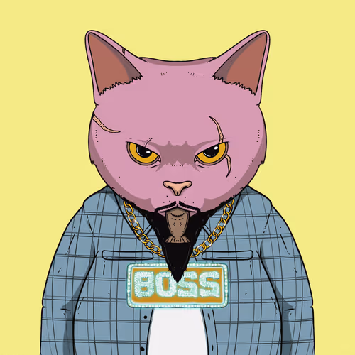 El Gatos Cartel