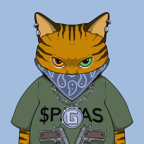 El Gatos Cartel