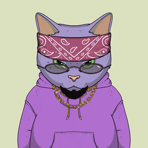 El Gatos Cartel